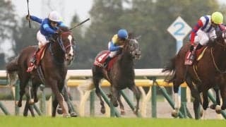 ムイトオブリガードが競走馬登録抹消