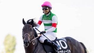 【本日の注目ポイント】中山でステイヤーズS、阪神でチャレンジC