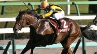 【チャレンジC予想】古豪と新星が中長距離路線で飛躍誓う