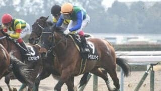 【ステイヤーズS予想】年末の中山名物、日本最長距離の平地重賞