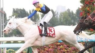 【チャンピオンズC予想】ソダシの取捨選択はいかに!? 初ダートで求められる課題とは…