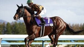 【カペラS想定】芝GI馬モズスーパーフレア、地方重賞2勝リュウノユキナなど18頭