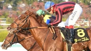 【中日新聞杯想定】アンドロメダS上位のラーゴム・ボッケリーニ、目黒記念覇者キングオブコージなど18頭