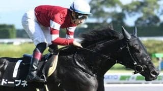 【朝日杯FS想定】2戦2勝ドウデュースは武豊騎手、ドーブネは吉田隼人騎手