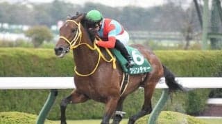 【チャンピオンズC】クリンチャー宮本師「人気ないらしいわ…フフッ」/ねぇさんのトレセン密着