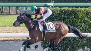 【中山6R新馬戦結果】オメガパフュームの弟ホウオウルーレットが7馬身差圧勝