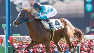 【中山5R新馬戦結果】7番人気ピンクセイラーが逃げ切って3馬身差完勝