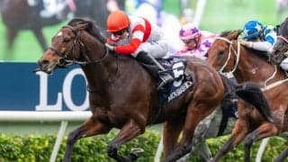 【香港スプリント 登録馬/想定騎手】“野田重撃”ダノンスマッシュは川田将雅騎手、“妙發靈機”ピクシーナイトは福永祐一騎手