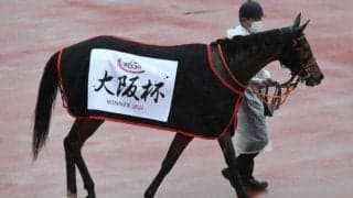 【香港カップ 登録馬/想定騎手】“麗冠花環”レイパパレはC.スミヨン騎手、“滂薄無比”ヒシイグアスはJ.モレイラ騎手