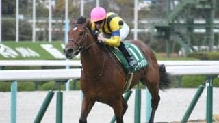 【チャレンジC結果】3歳馬ソーヴァリアントが楽に抜け出して3馬身半差圧勝