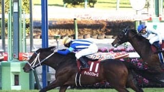 【ステイヤーズS】暮れのマラソンレースを制したのはディバインフォース