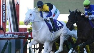 【チャンピオンズC前日オッズ】初ダートのソダシが2.7倍で1番人気