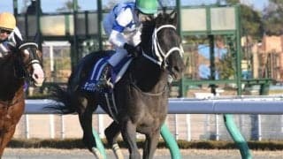 【チャンピオンズC】チュウワウィザード大久保龍師「持久力勝負になればチャンスがある」/ねぇさんのトレセン密着