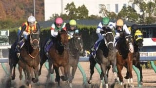 【チャンピオンズC予想】時計は昨年同様の水準、鍵はペース読みなのだが…/万哲の馬場予報