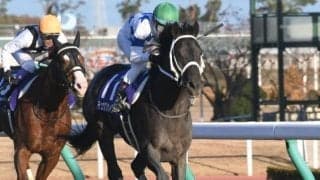 【WIN5予想】チャンピオンズCは臨戦過程などを素直に評価したい