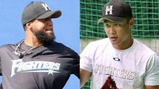 期待の大砲候補は大誤算、救援右腕は24Hの活躍　日本ハム助っ人の貢献度は？