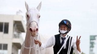 【チャンピオンズC】ソダシは初の1枠に、白毛馬×白帽子の相性は…