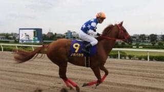 【JRA】9歳の古豪ノボバカラが園田競馬移籍へ、2016年カペラSなどダート重賞4勝