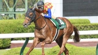 【チャンピオンズC】テーオーケインズ高柳師「前走、使ったことでの良化を感じます」/ねぇさんのトレセン密着