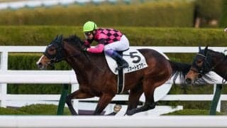 【新馬/阪神6R】武豊 スマートセプターがデビューV