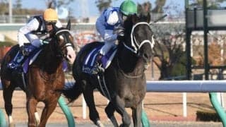 【チャンピオンズC予想】ダート戦としては特殊な適性が要求され、リピーターが生まれやすい