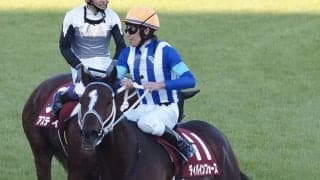 【ステイヤーズS】田辺「良い手応えで回ってこれた」ディバインフォースが重賞初制覇