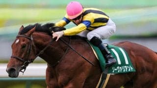 【チャレンジC】ルメール「G2、G1に行ける」ソーヴァリアントが圧巻の走り