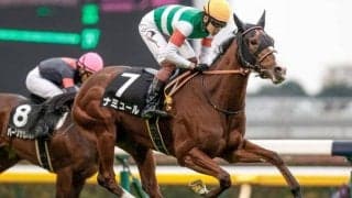 【阪神JF】ナミュールはC.デムーロ騎手とのコンビで参戦