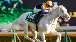 【本日の注目ポイント】チャンピオンズCで白毛ソダシ、昨年覇者チュウワウィザードらが激突