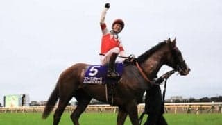 スワーヴリチャードの妹、ルナソルは有力馬そろう国枝厩舎でも期待される逸材