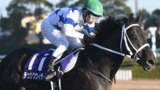 【チャンピオンズC予想】狙いは「1・2枠」と「6番人気から9番人気」？過去データからチャンピオンズCを探る！