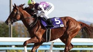 【チャンピオンズC予想】AIが「大波乱」を予想!? 人工知能が導き出した「穴馬」とは…