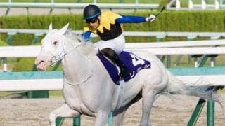 【チャンピオンズC 13時時点オッズ】ソダシが単勝3.4倍の1番人気、テーオーケインズが4.1倍で続く