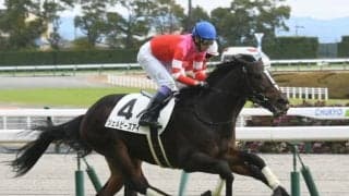 【中京5R新馬戦結果】武豊騎手騎乗シェルビーズアイが差し切りデビュー勝ち