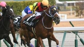 【こうやまき賞結果】モーリス産駒ソリタリオが抜け出して連勝