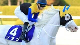 【チャンピオンズC・馬体重】ソダシは470kg(-4)、チュウワウィザードは488kg(+4)