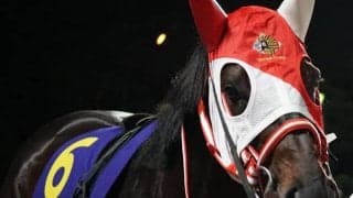 【チャンピオンズC】枠内駐立不良のダノンファラオは発走調教再審査へ