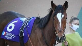 【海外競馬】ジャパンC5着グランドグローリー、繁殖馬セールで3億円超の高額落札