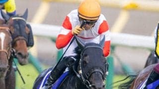 【2021香港国際競走】日本馬4頭が香港に到着