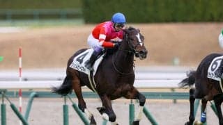 【新馬/中京5R】武豊 シェルビーズアイがデビューV！4億円ホースは敗れる