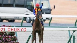 【チャンピオンズC】松山「凄い手応え」テーオーケインズが圧勝