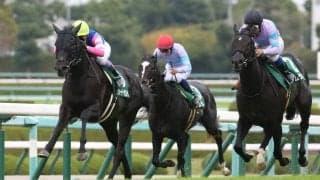 【阪神JF登録馬】ウォーターナビレラなど23頭