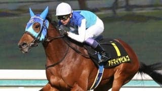 【中日新聞杯登録馬】アドマイヤビルゴなど19頭