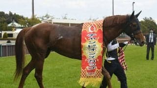 【チャンピオンズC】売上は167億3112万5400円で昨年からおよそ15.5億円の増加