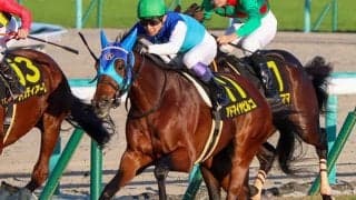 【中日新聞杯想定騎手】アドマイヤビルゴは武豊騎手、ボッケリーニは浜中俊騎手