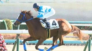 【新馬/中山5R】イスラボニータ産駒 ピンクセイラーがデビューV