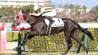 【新馬/阪神5R】ディープ産駒 ラリュエルがデビューV