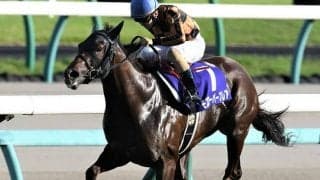 【カペラS想定騎手】モズスーパーフレアは松若風馬騎手、リュウノユキナは柴田善臣騎手