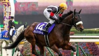 【先週のJRA抹消馬】三冠馬コントレイル、GI・2着3回のカレンブーケドールなど