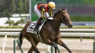 【阪神JF想定騎手】ウォーターナビレラは武豊騎手、ステルナティーアはC.ルメール騎手